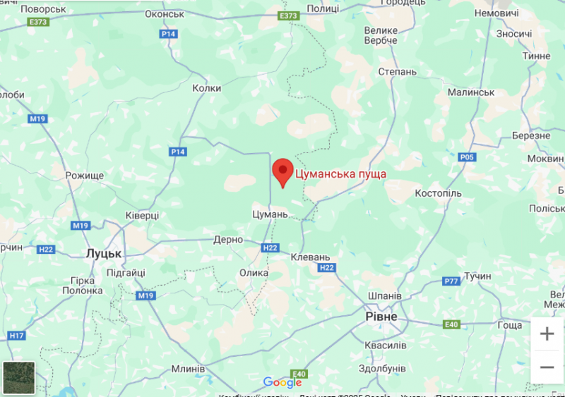 Грибний бум на Волині: де шукати білі, лисички та опеньки