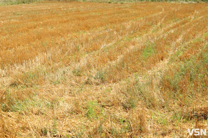 «Працювати неможливо взагалі»: як зростання вартості пального впливає на аграріїв та фермерів Волині