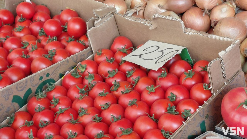 Скільки на ринку у Луцьку коштують овочі: огляд цін