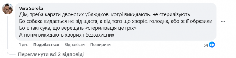 У  Нововолинську зграї безпритульних собак лякають дітей і батьків
