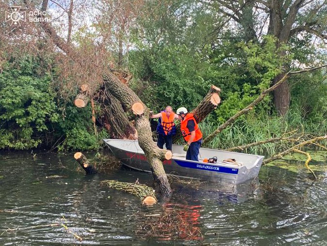 Біля Луцька в річку впало дерево 