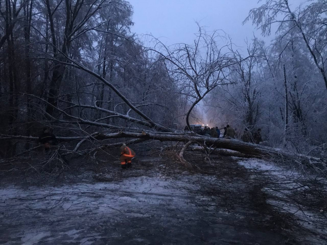 На Волині сильний вітер повалив дерева на дорогу. Фото