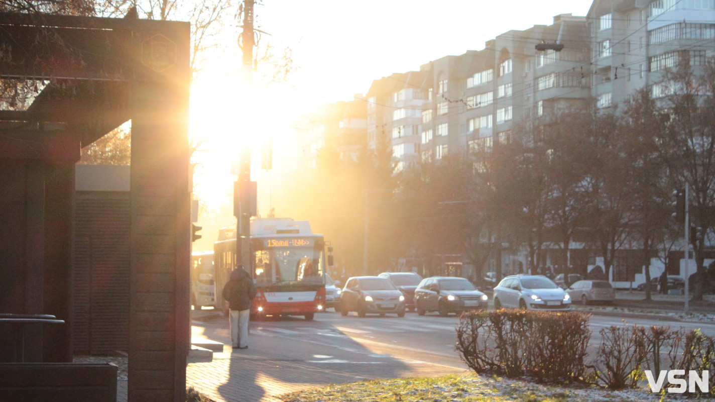 Засніжений Луцьк: як виглядають парки та двори міста взимку напередодні Нового 2026 року. Фоторепортаж
