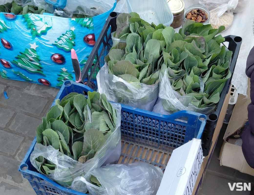 На ринках Луцька з’явилася перша розсада: огляд цін на саджанці та кущі