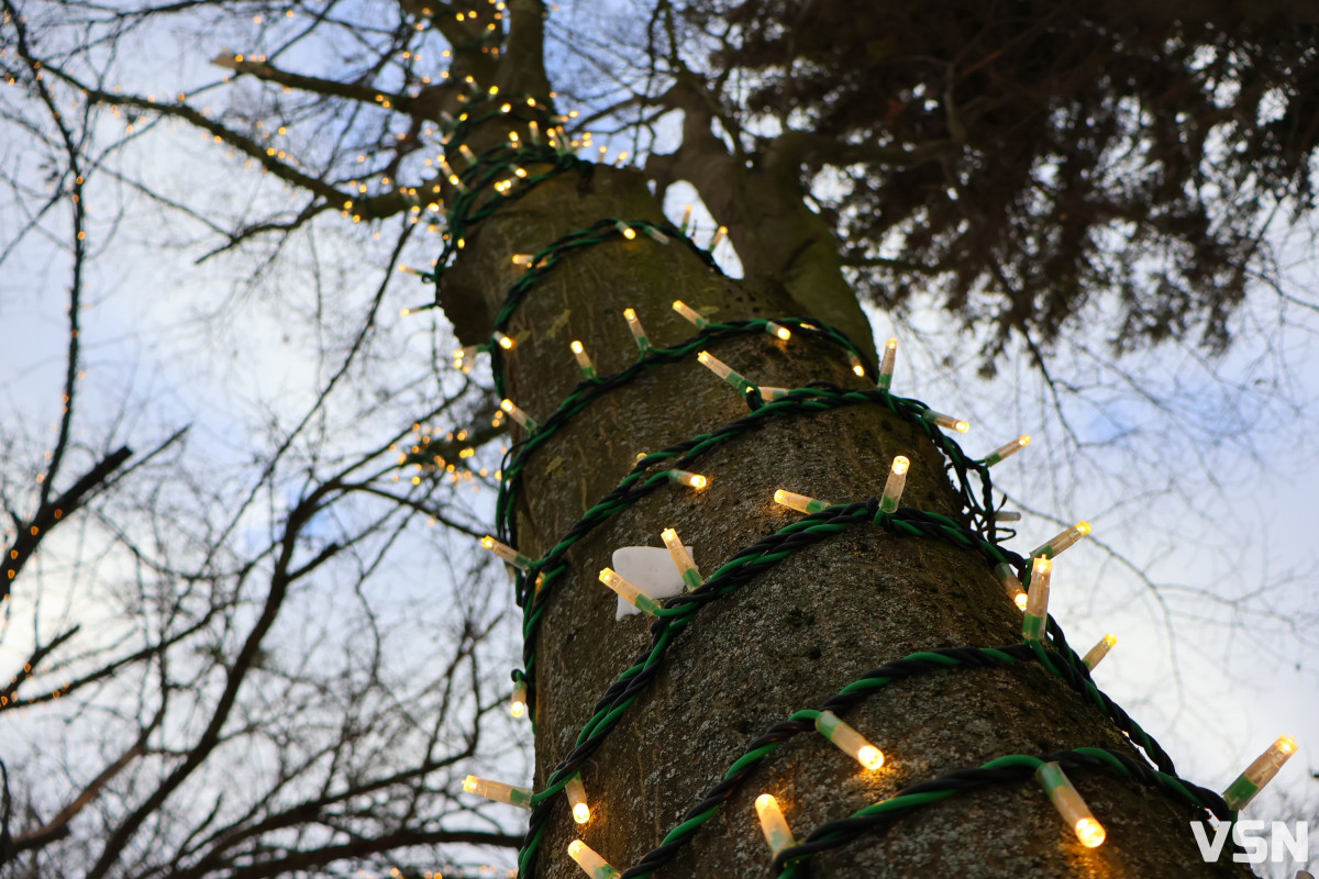 Як виглядає центральний парк у Луцьку у перші дні 2026 року. Фоторепортаж