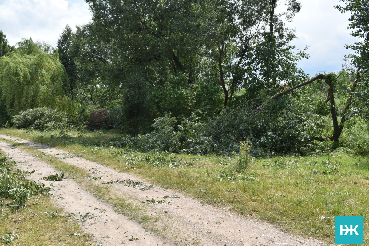 Раптова буря пошматувала дахи й залишила без світла: негода вдарила по Волині
