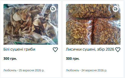 Скільки коштують сушені гриби на Волині: ціни на білі, лисички та «синяки»
