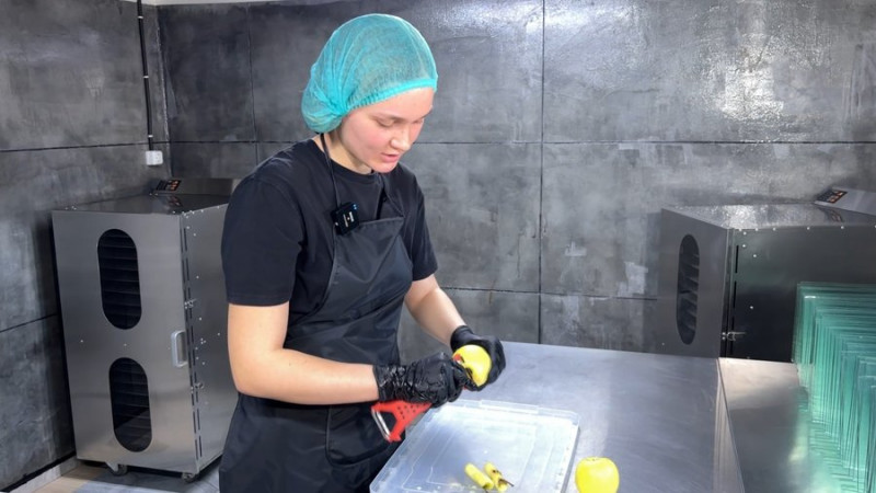 Виготовляють фріпси та пастилу: подружжя з Волині виграли грант від держави