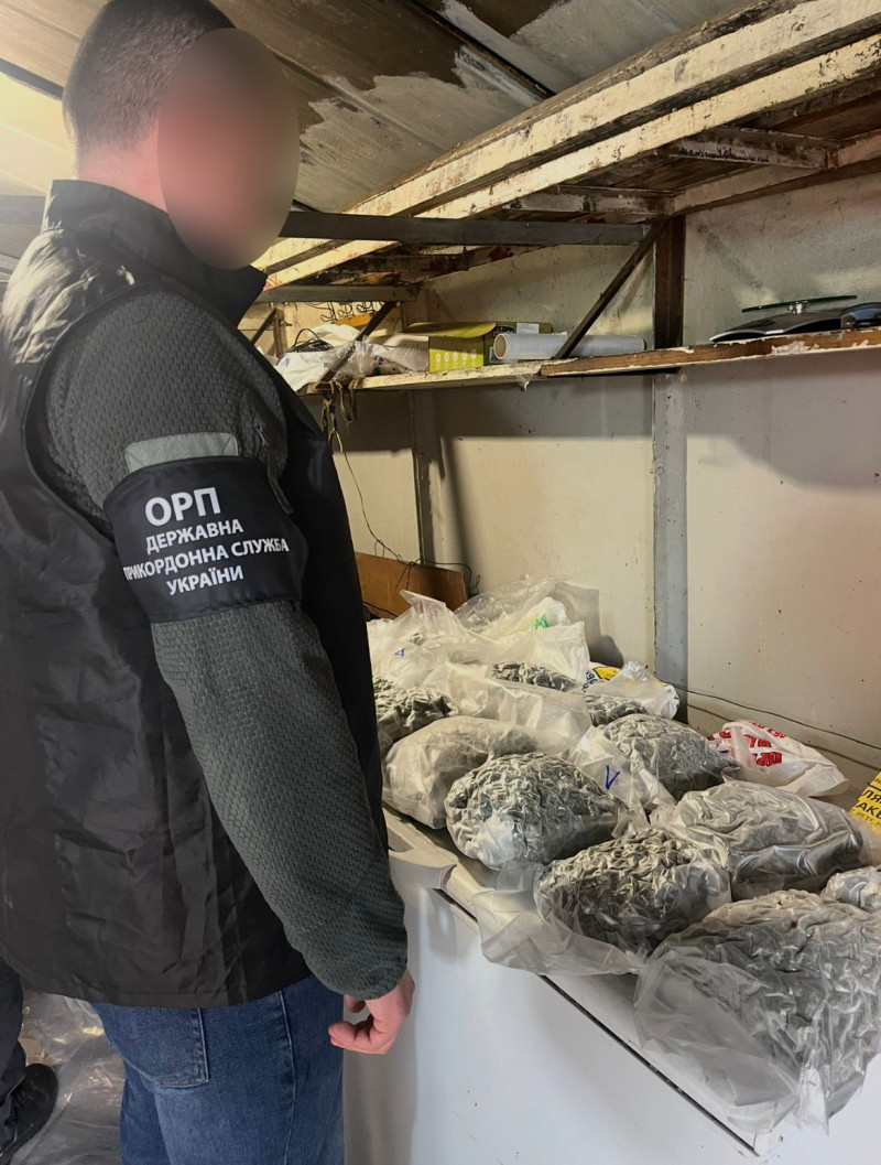 Наркобізнес на мільйони: волинянин разом з одеситами та киянами організував збут наркотиків