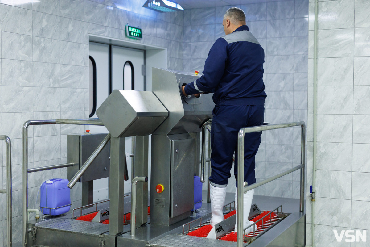 Волинь готується підкорювати світові ринки: інтерв’ю з генеральною директоркою Avesterra Group Світланою Собіпан