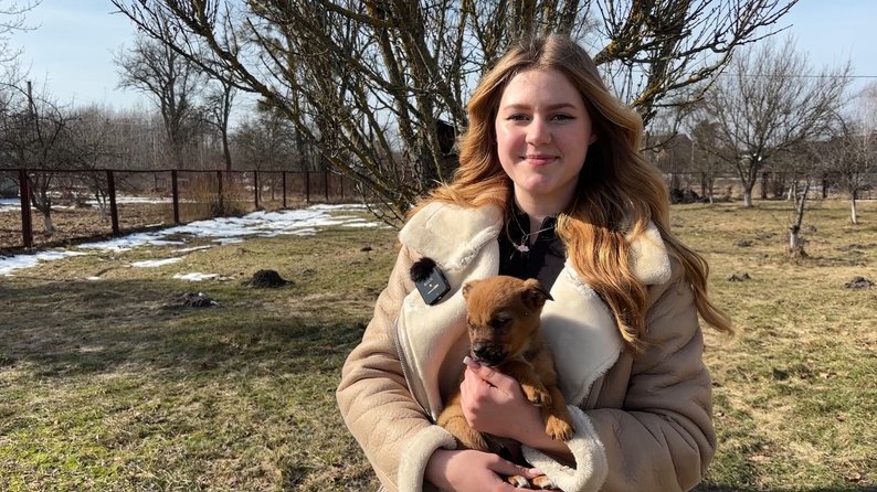 Щоб знайти власників, зняли відео і залили в ТікТок: учні волинського ліцею шукають дім для цуценят