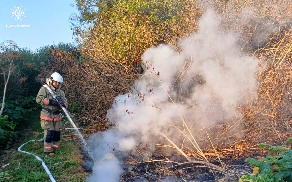 7 пожеж та 11 штрафів: на Волині масово карають паліїв сухостою