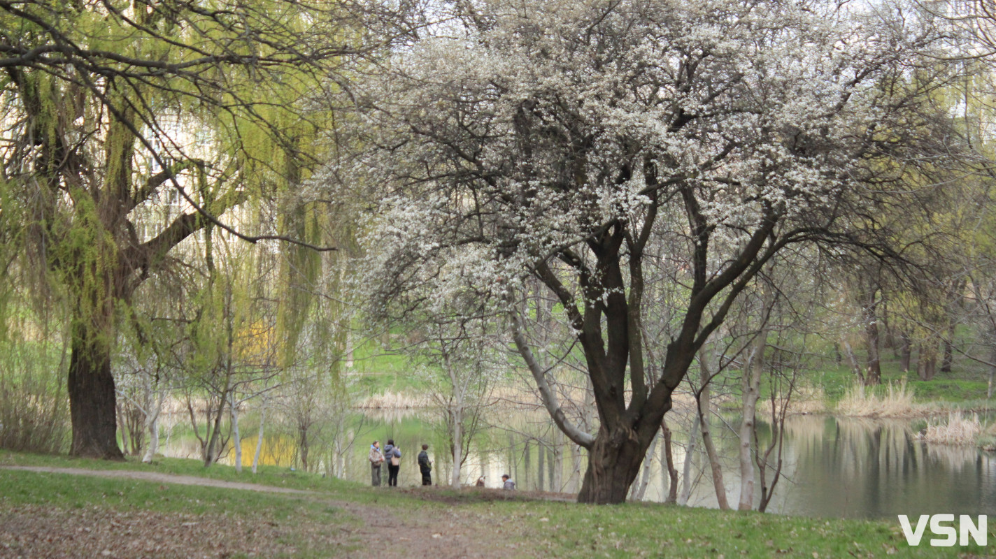 Як виглядає парк 900-річчя у Луцьку навесні 2026. Фоторепортаж
