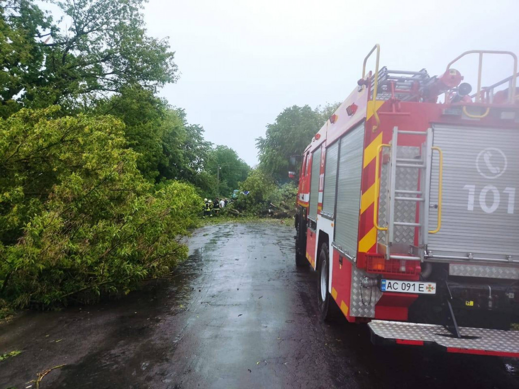 Вітер повалив дерева, а блискавка підпалила будинок: на Волині вирувала негода