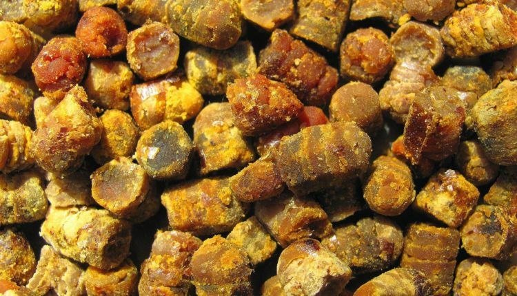 Аптека у вулику: 5 продуктів волинського бджільництва, які рятують від хвороб