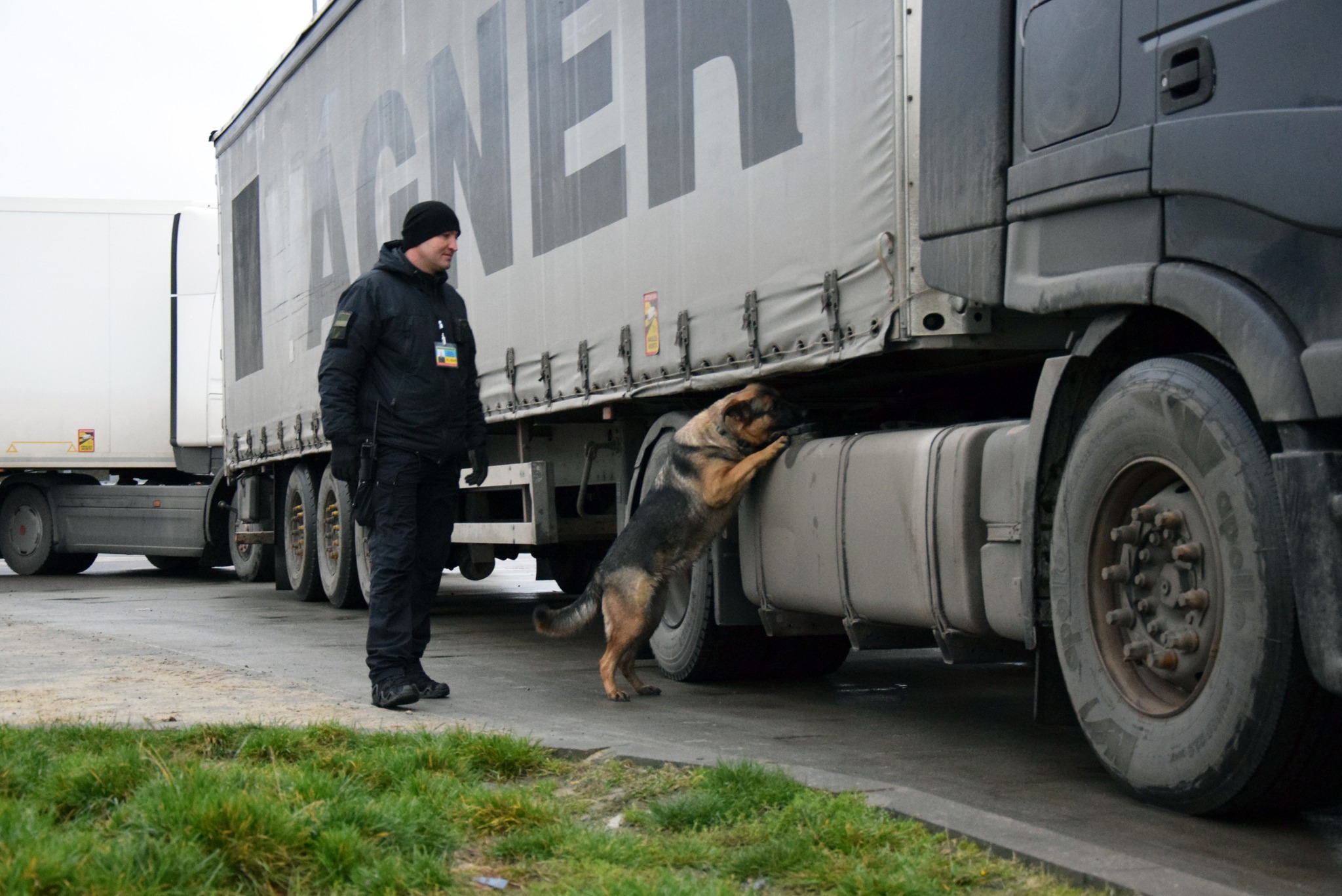 Коли напарник – більше ніж собака: прикордонник з Волині та його чотирилапа династія