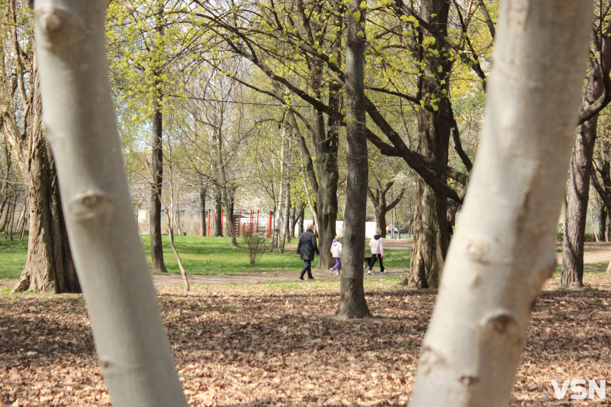 Як виглядає парк 900-річчя у Луцьку навесні 2026. Фоторепортаж