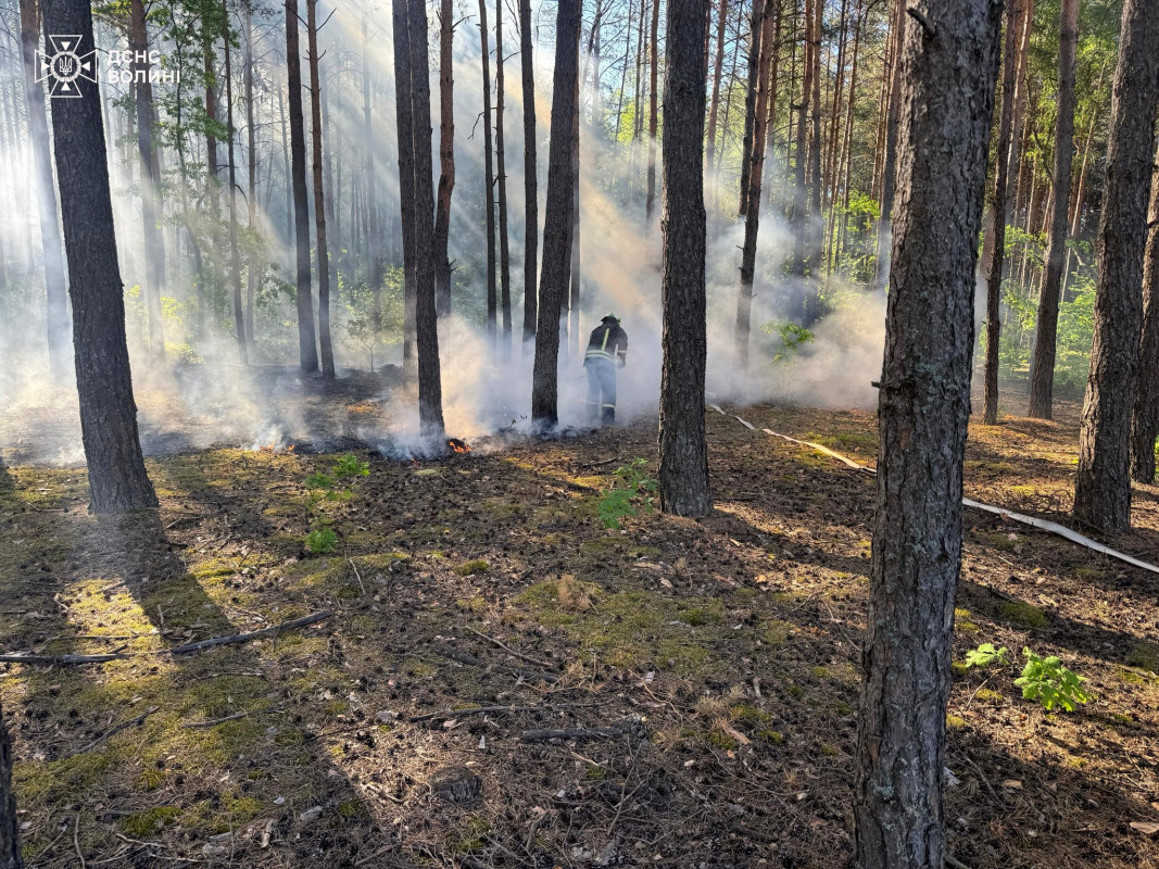 Вогонь охопив близько 5 гектарів: на Волині ліквідовували масштабну лісову пожежу