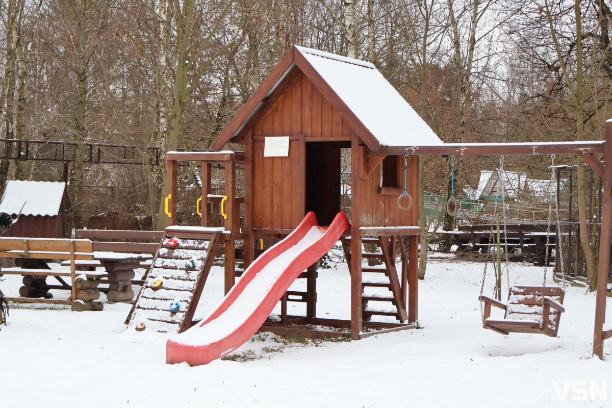 Останній день 2025 у Луцьку: місто в очікуванні Нового року. Фоторепортаж