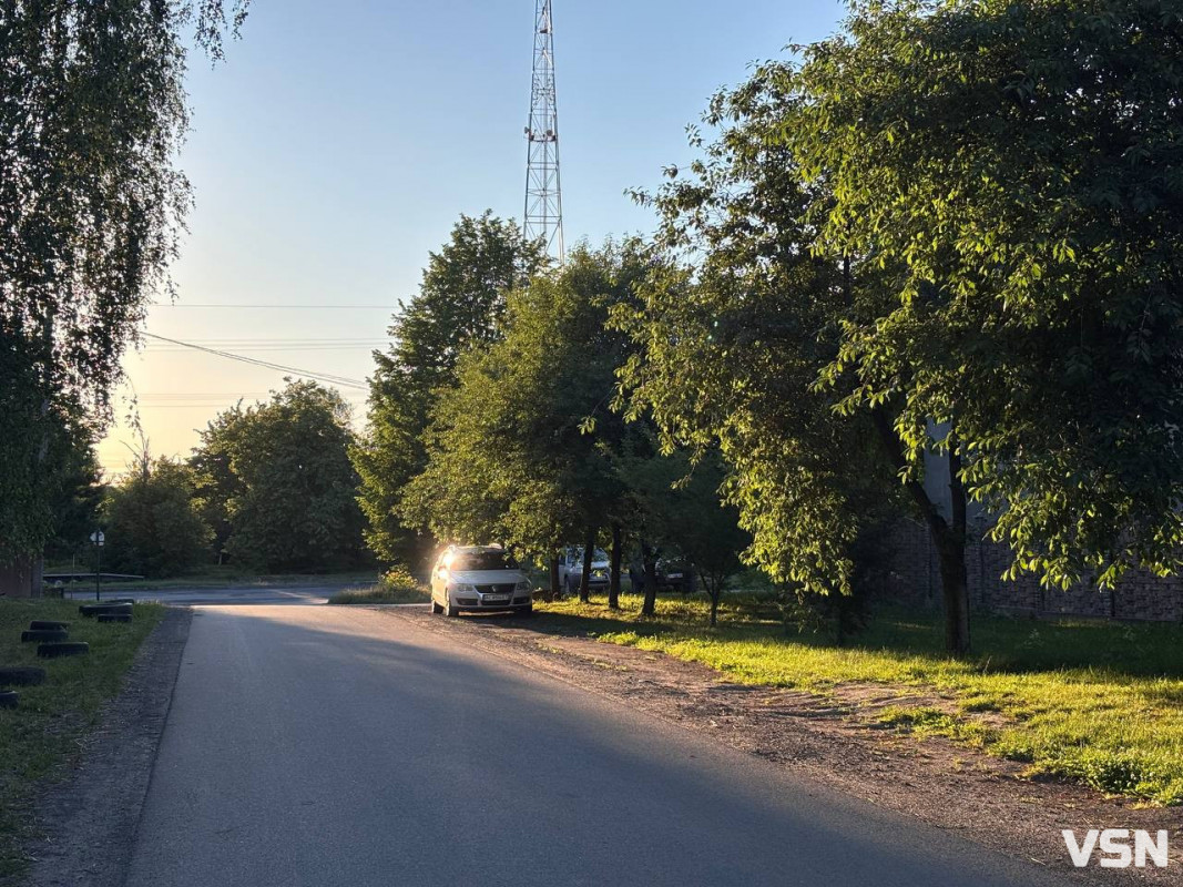 Затишок за кілька хвилин від Луцька: чим живуть сучасні Липини. Фоторепортаж