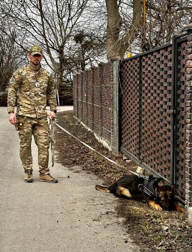 На Волині службовий пес взяв слід і провів поліцію просто до дверей хулігана