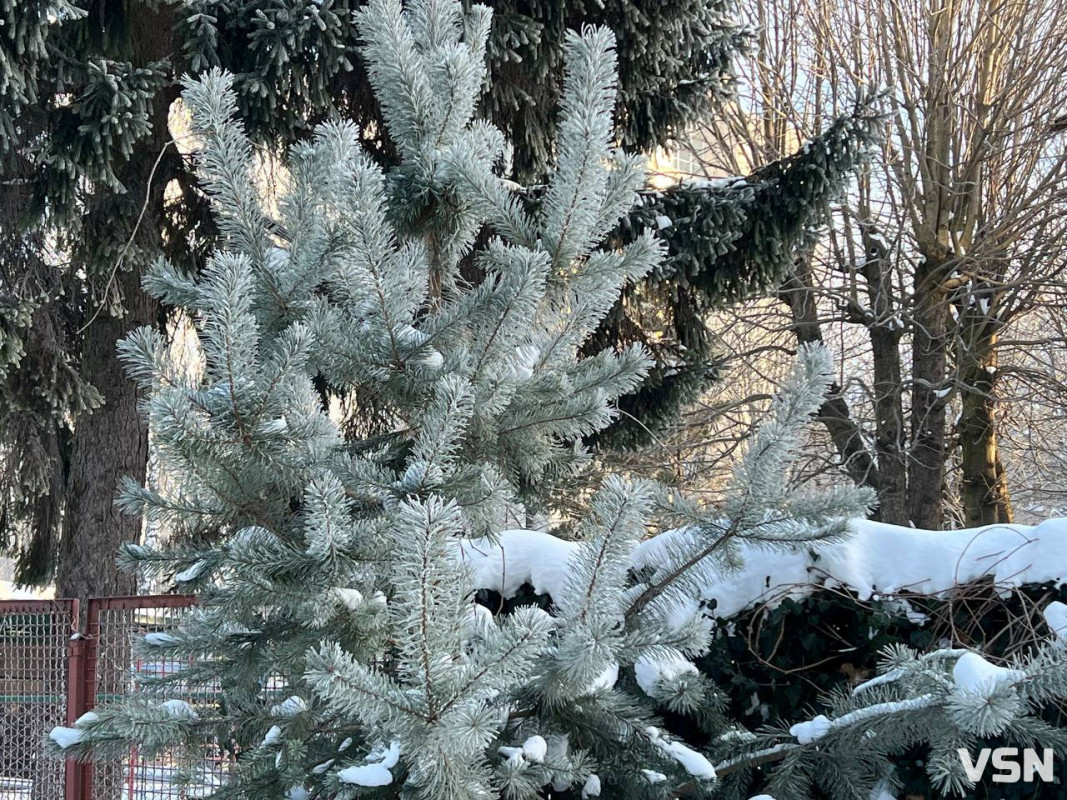 Від перших снігів до лютневих відлиг: якою була зима у Луцьку. Фоторепортаж