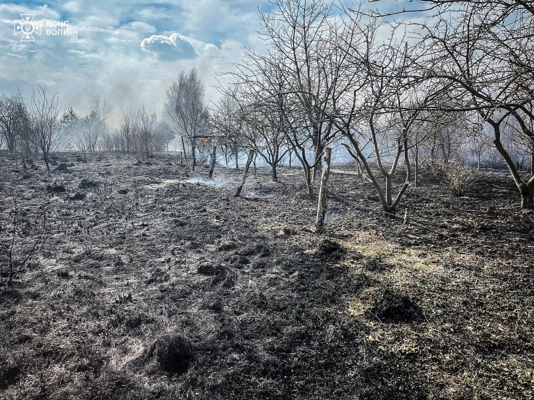 Багато загорянь за кілька годин: як на Волині борються з паліями сухостою