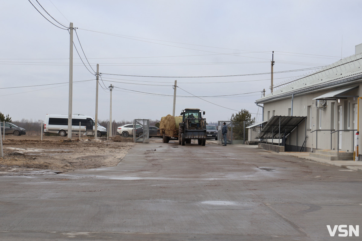 Avesterra Group відкрила на Волині сучасний комплекс із вирощування курчат-бройлерів за 15 мільйонів євро