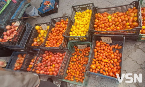 Перець, капуста, томати: скільки коштує сезонна городина на луцьких ринках
