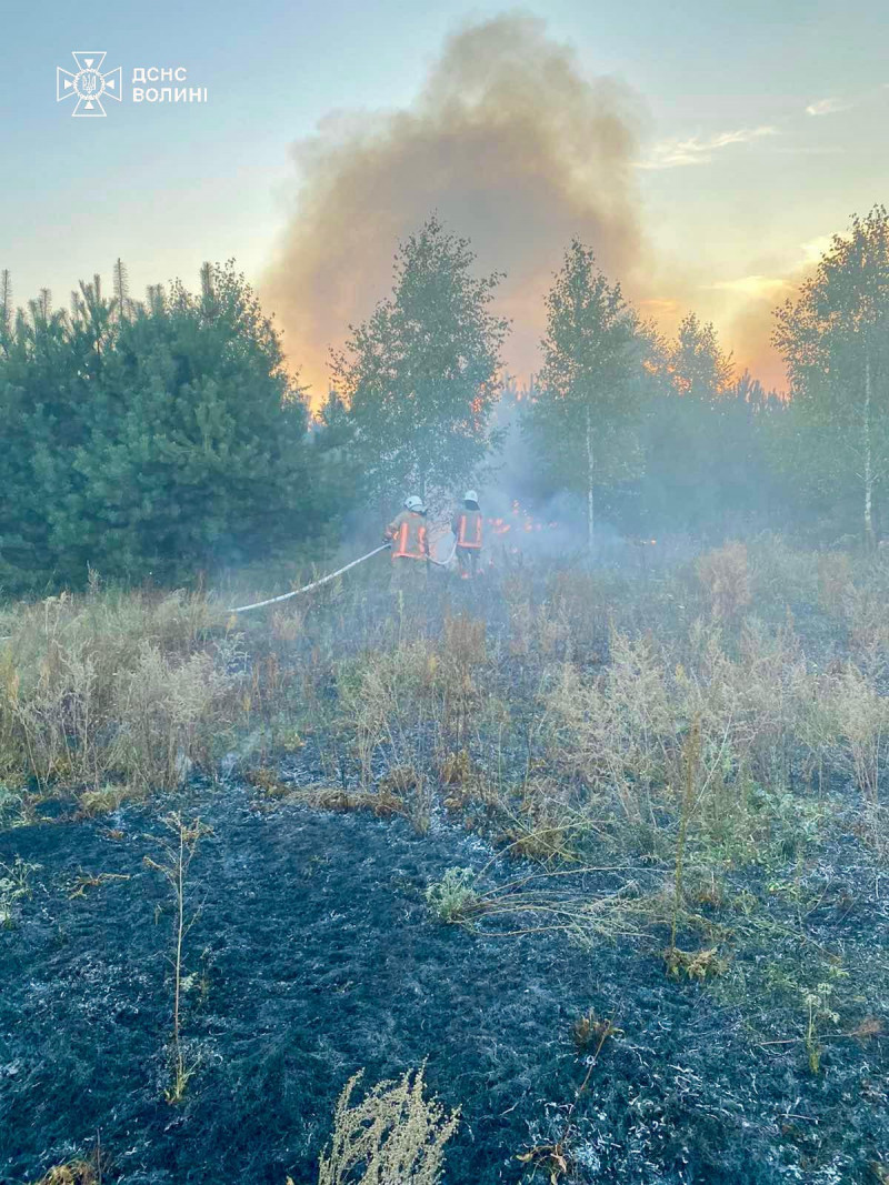 На Волині 70-річний чоловік підпалив траву: деталі інциденту