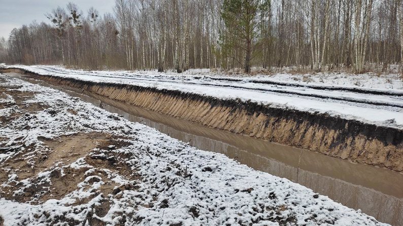 Протитанкові рови, міни й колючий дріт: кордон з Білоруссю на Волині продовжують укріплювати