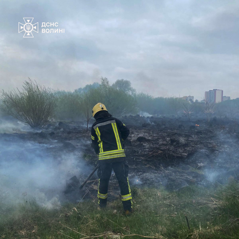 На Волині вигоріло понад 3 гектари через сухостою через людську недбалість