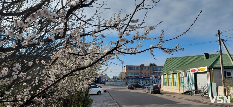 Заморозки та дощі: якою буде погода на Волині на великодні вихідні 11 та 12 квітня