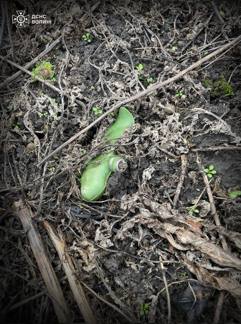 Кожен гектар під контролем: волинські піротехніки розміновують Харківщину