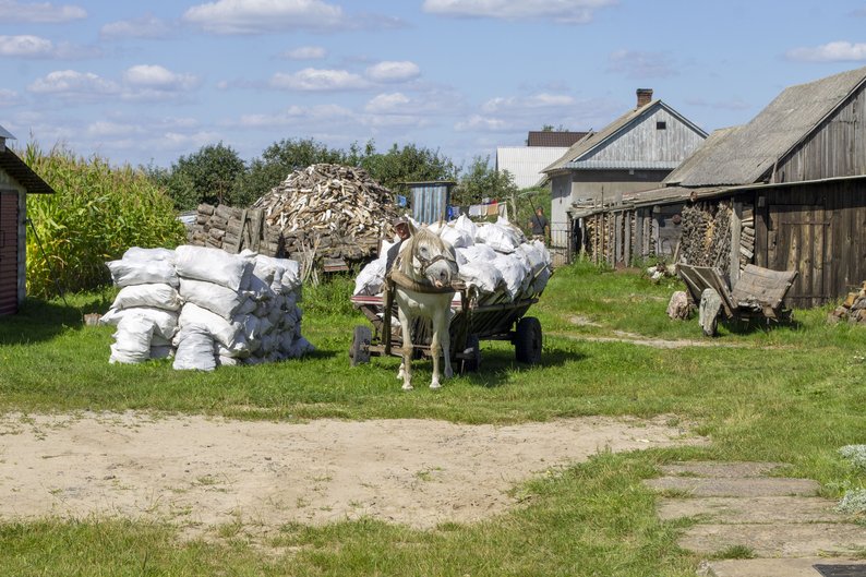 Хтось виїжджає за кордон, хтось — у місто: як живе чи виживає село Черемошне на Волині