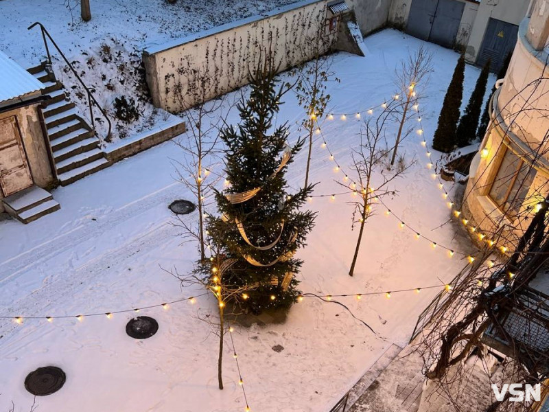 Від перших снігів до лютневих відлиг: якою була зима у Луцьку. Фоторепортаж