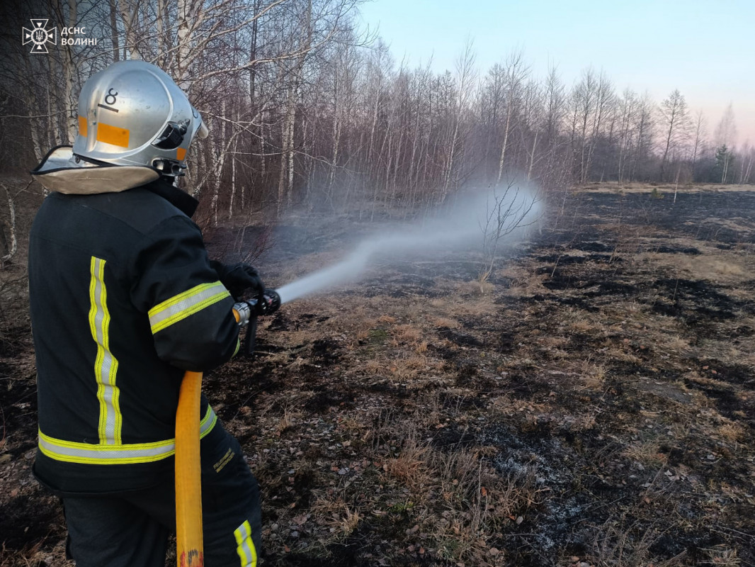 На Волині горіли будинки і суха трава: одного палія-порушника вже встановили