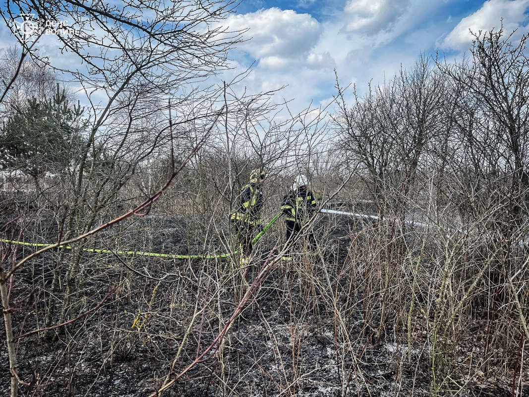 Багато загорянь за кілька годин: як на Волині борються з паліями сухостою