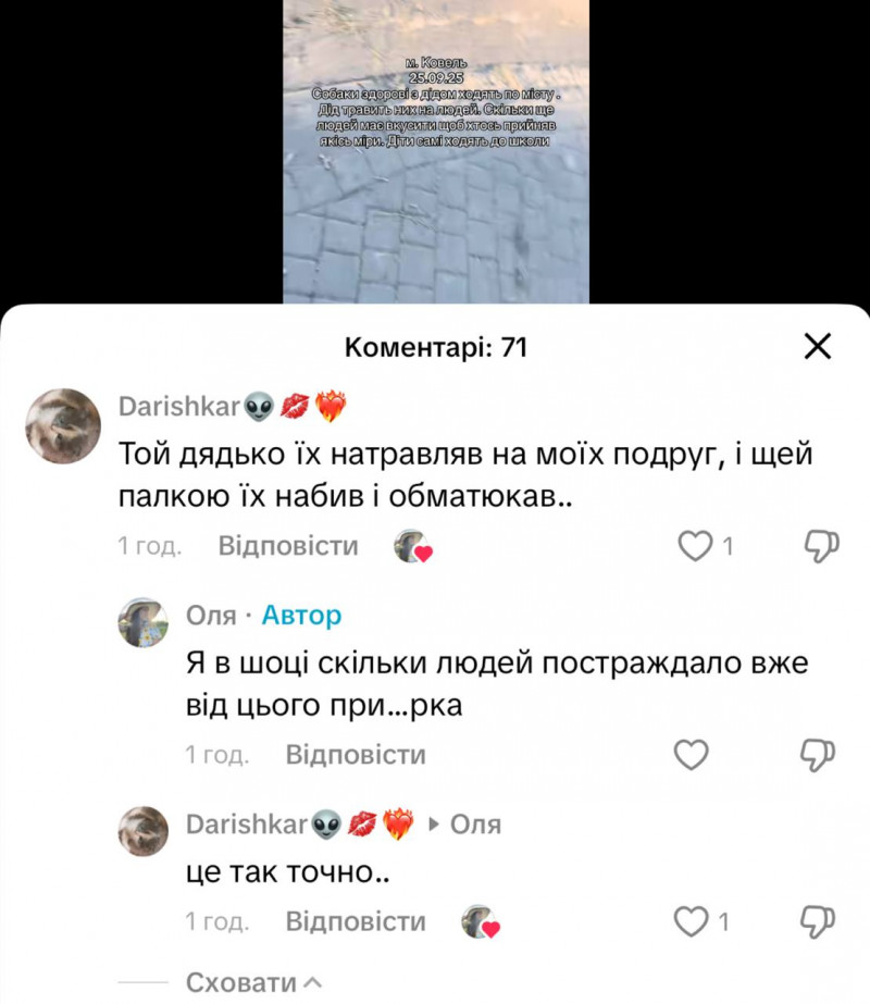 Дід і зграя собак тероризують Ковель: люди бояться виходити на вулицю