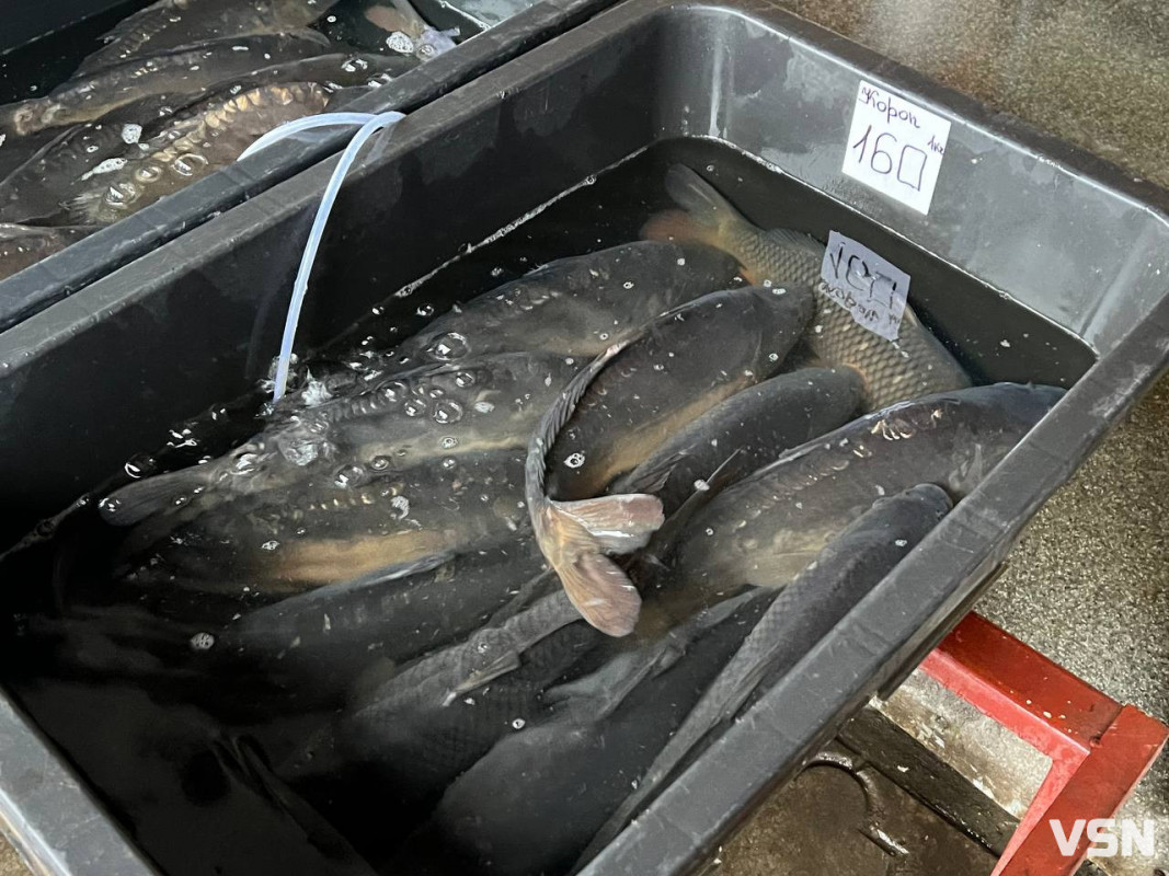 Скільки коштує жива та заморожена риба на ринку у Луцьку?