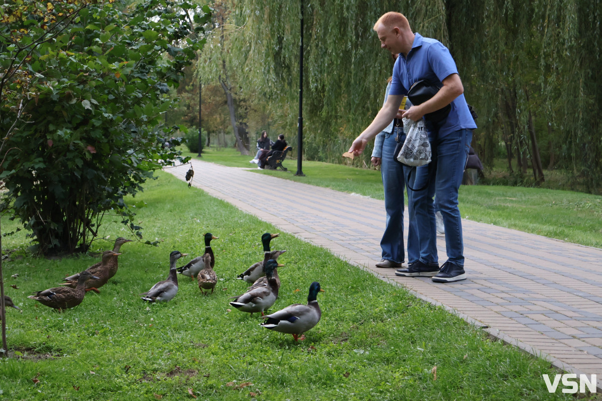 Осінь у Луцьку. Фоторепортаж