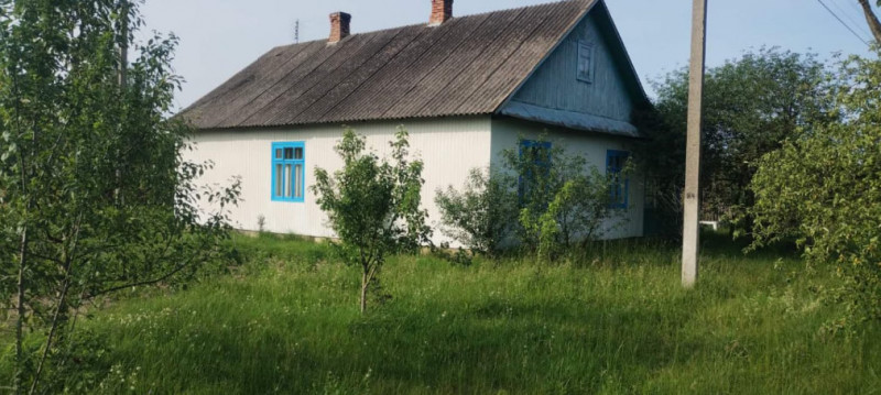 Теплий, екологічний та надійний: волинянин побудував будинок своєї мрії із дров