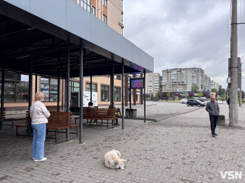 Студентів у Луцьку хочуть активніше залучати до роботи в електротранспорті