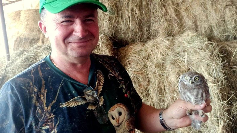 Вперше за 100 років: на Волині зафіксували гніздування сипухи