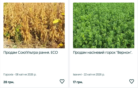 Скільки коштує зерно для посівної на Волині у 2026 році: актуальні ціни