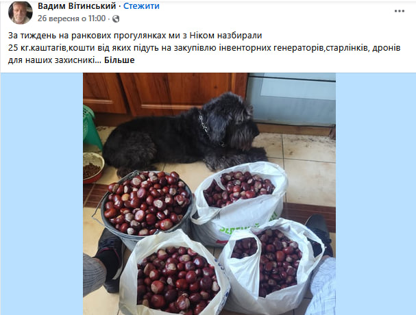 Лучани масово збирають каштани: куди та за скільки їх продають?