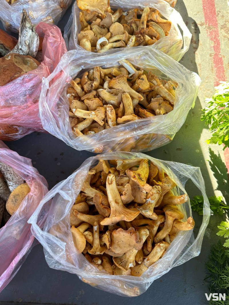 Скільки у Луцьку коштують лісові гриби на ринку