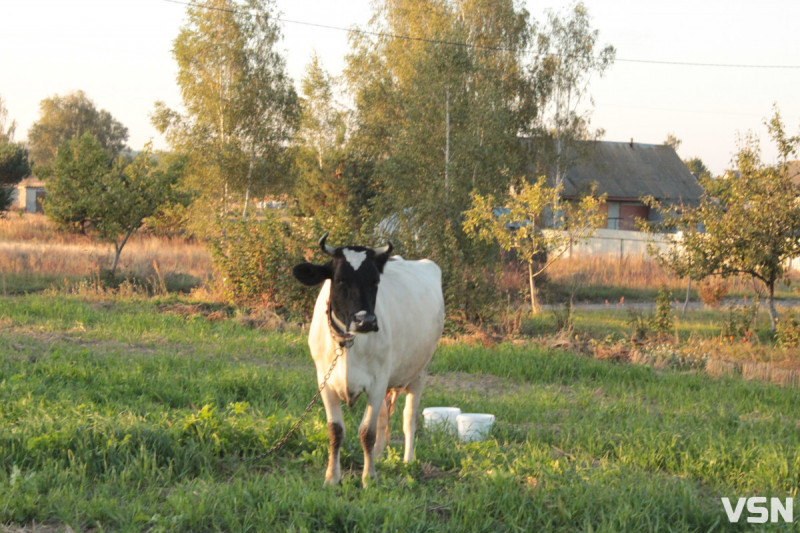 «Працювати неможливо взагалі»: як зростання вартості пального впливає на аграріїв та фермерів Волині