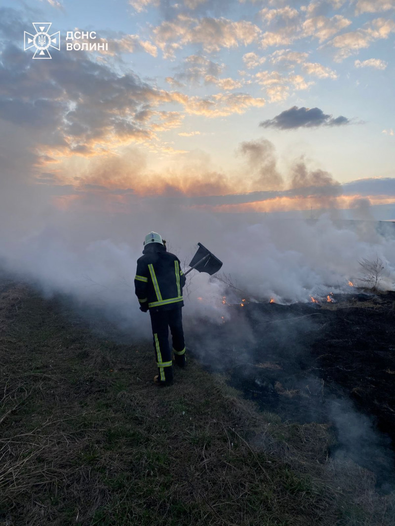 Масові пожежі на Волині: за добу вигоріли гектари сухостою в різних громадах