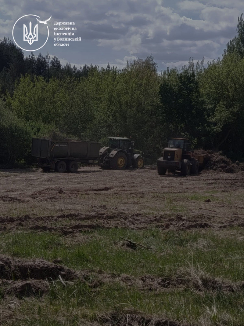 На Волині незаконно вирубали понад сотню дерев – техніку вилучили